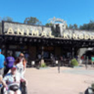 Meet your Posher, Sandy